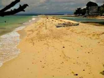 Pamilacan Island Tourist Inn And Restaurant Bohol Extérieur photo